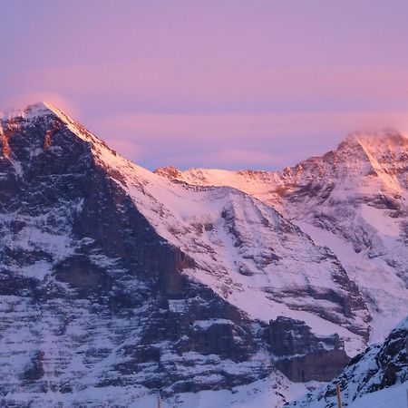 Berghaus Maennlichen Hotel กรินเดลวัลด์ ภายนอก รูปภาพ